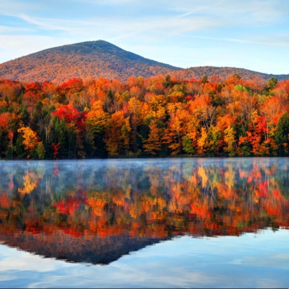 Meet your Posher, Bridget